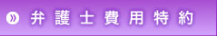 弁護士費用特約